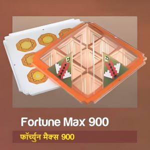 Fortune Max 900